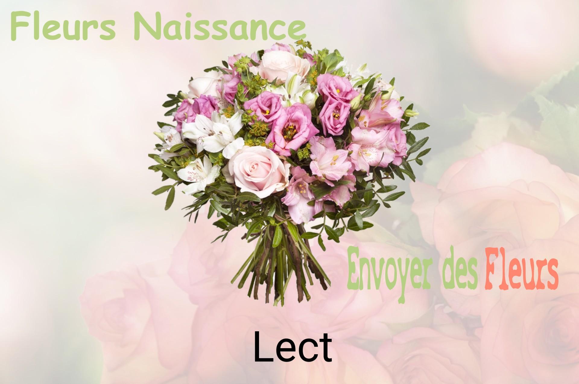 Bouquet de fleurs de naissance livré à Lect