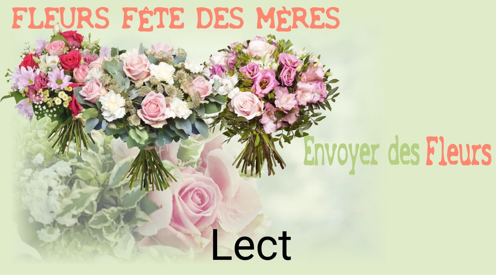 Bouquet de Fête des Mères livré à Lect