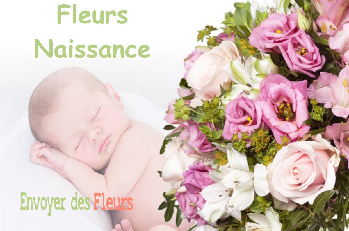 lIVRAISON FLEURS NAISSANCE à LECT